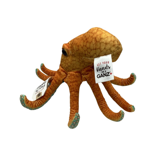 Seaside Octopus
